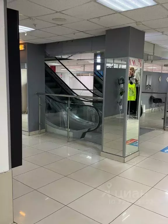 Помещение свободного назначения в Омская область, Омск просп. Мира, ... - Фото 2