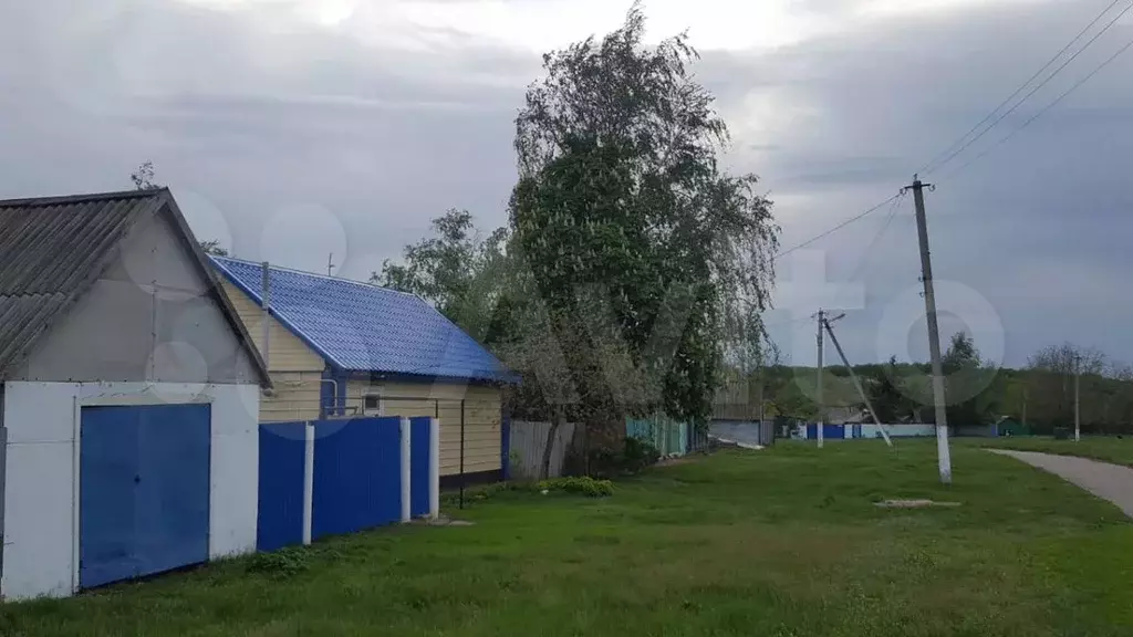 Купить Аквариум В Алексеевке Белгородской Области