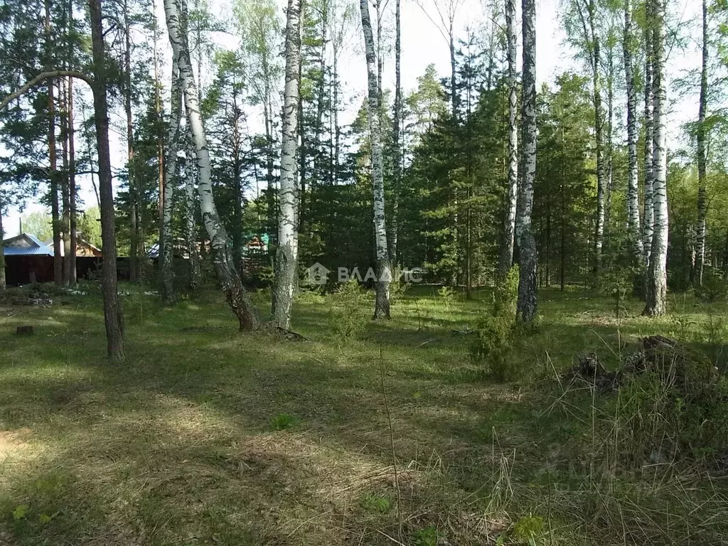 Участок в Владимирская область, Судогодский район, д. Торжково 5 ... - Фото 0