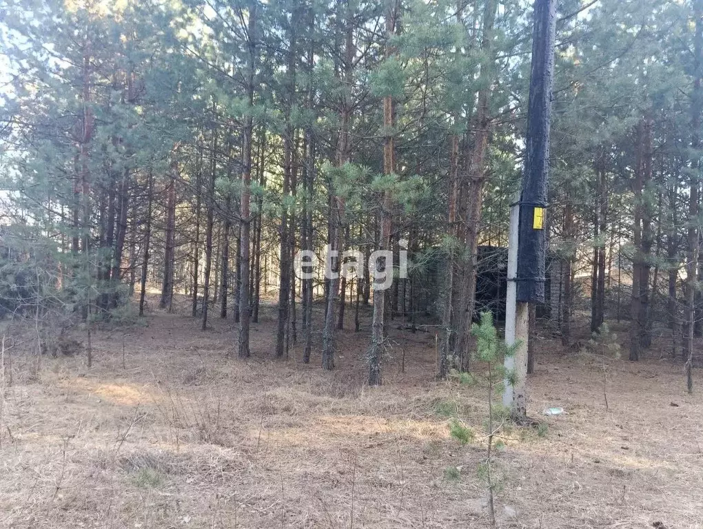 Участок в Владимирская область, Петушинский район, Пекшинское ... - Фото 1