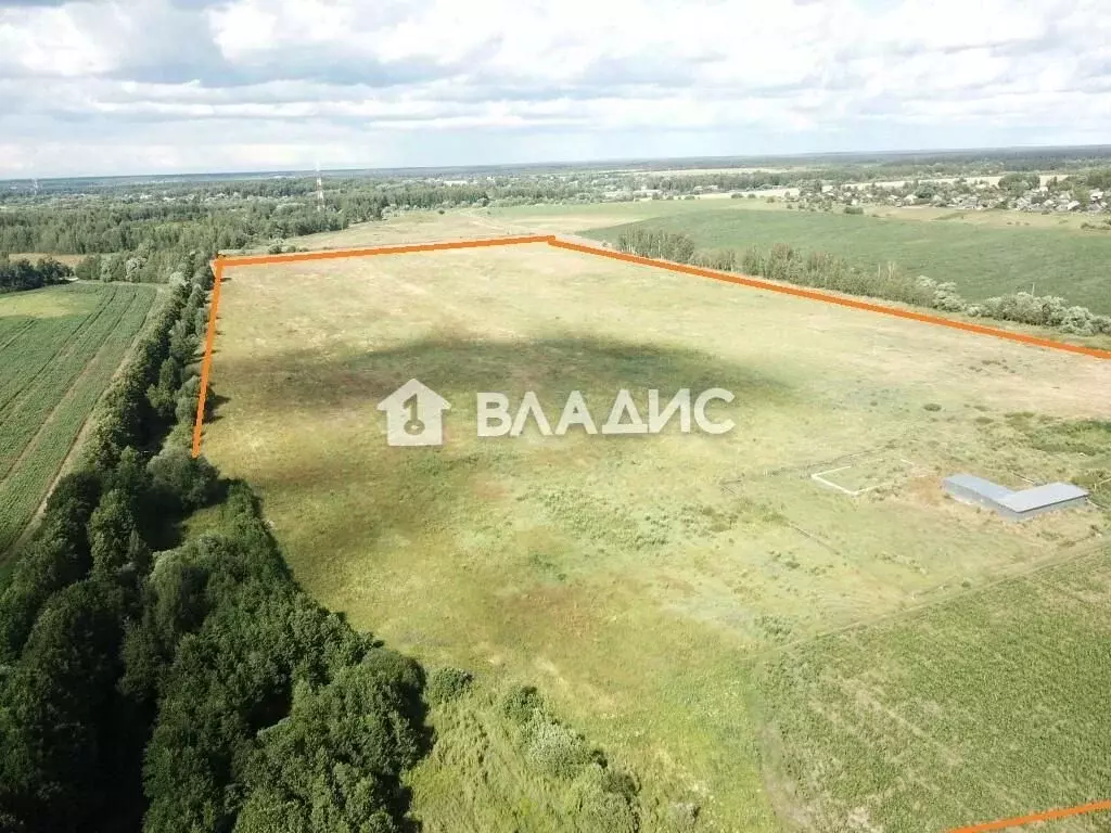 Участок в Владимирская область, Судогодский район, пос. Муромцево  ... - Фото 1