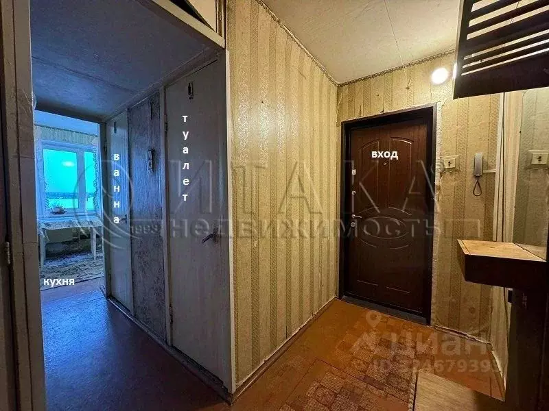 2-к кв. Ленинградская область, Волосово Гатчинское ш., 8 (54.9 м) - Фото 1