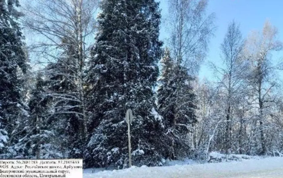Участок в Московская область, Дмитровский муниципальный округ, д. ... - Фото 1