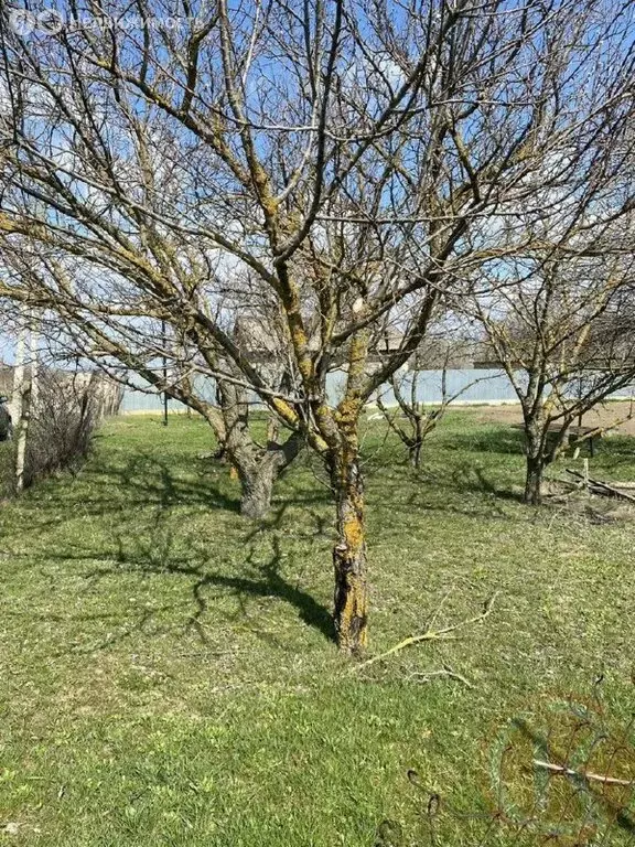 Участок в Белогорский район, село Ароматное (15 м) - Фото 1