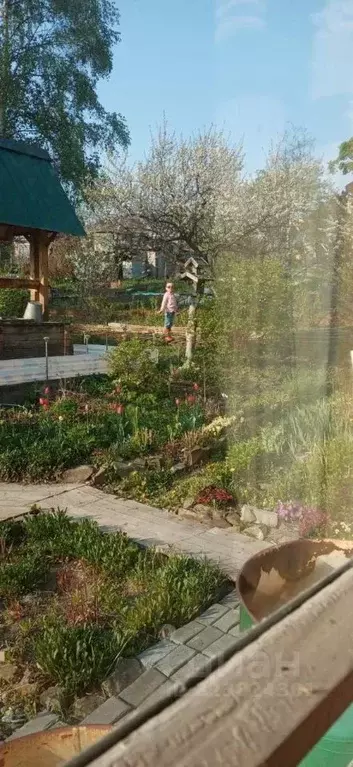 Дом в Приморский край, Надеждинский район, Судоремонтник СНТ  (20 м) - Фото 1