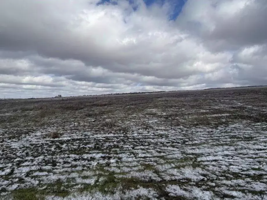 Участок в Крым, Симферопольский район, Чистенское с/пос, с. Левадки ... - Фото 1