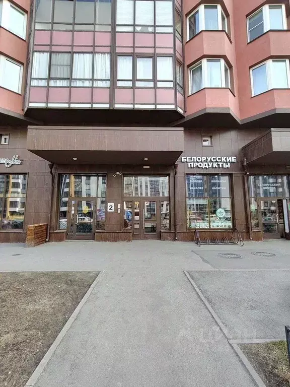 1-к кв. Санкт-Петербург ул. Летчика Лихолетова, 14к2 (25.0 м) - Фото 2