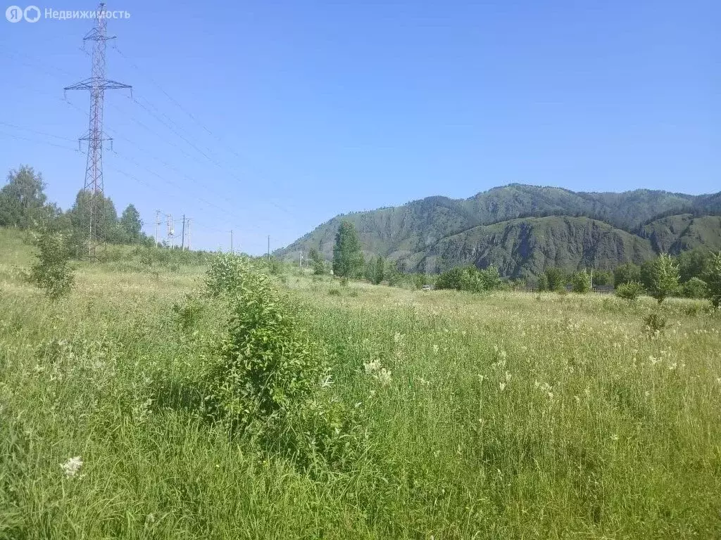 Участок в Чемальский район, село Анос (10 м) - Фото 0