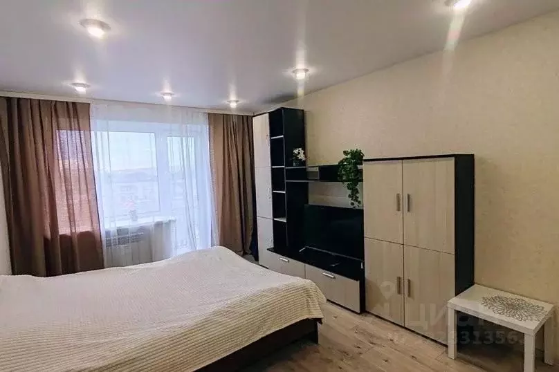 1-к кв. Нижегородская область, Дзержинск ул. Гайдара, 53 (33.0 м) - Фото 2