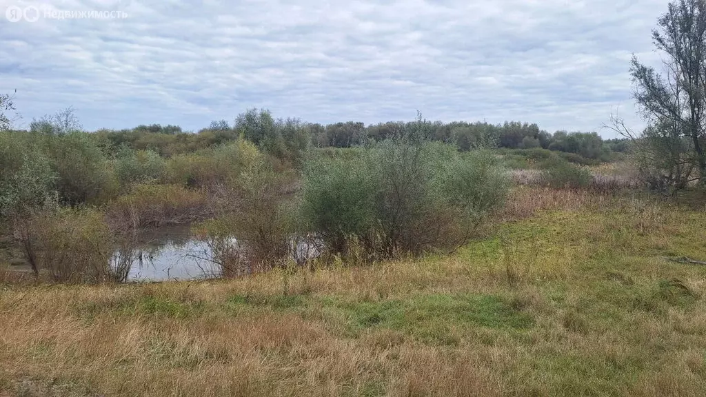 Участок в Илекский район, посёлок Димитровский (8 м) - Фото 2