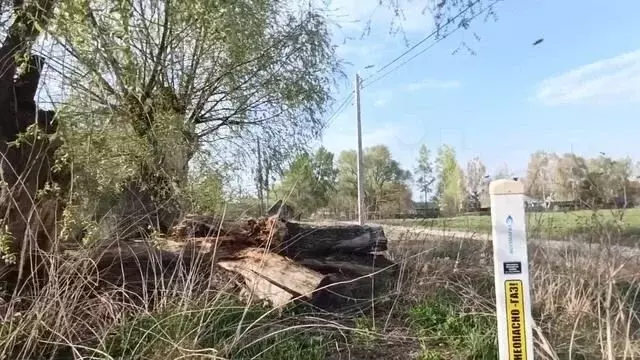Дом 30,1 м на участке 15 сот. - Фото 1