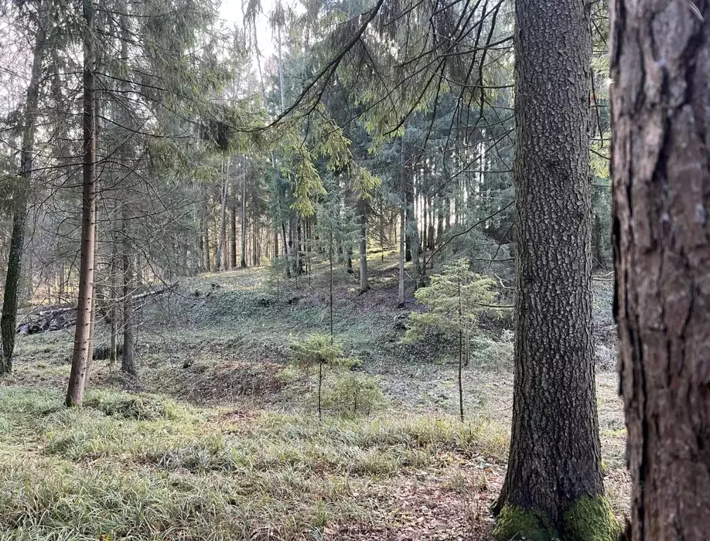 Участок в Московская область, Чехов  (8.8 сот.) - Фото 1