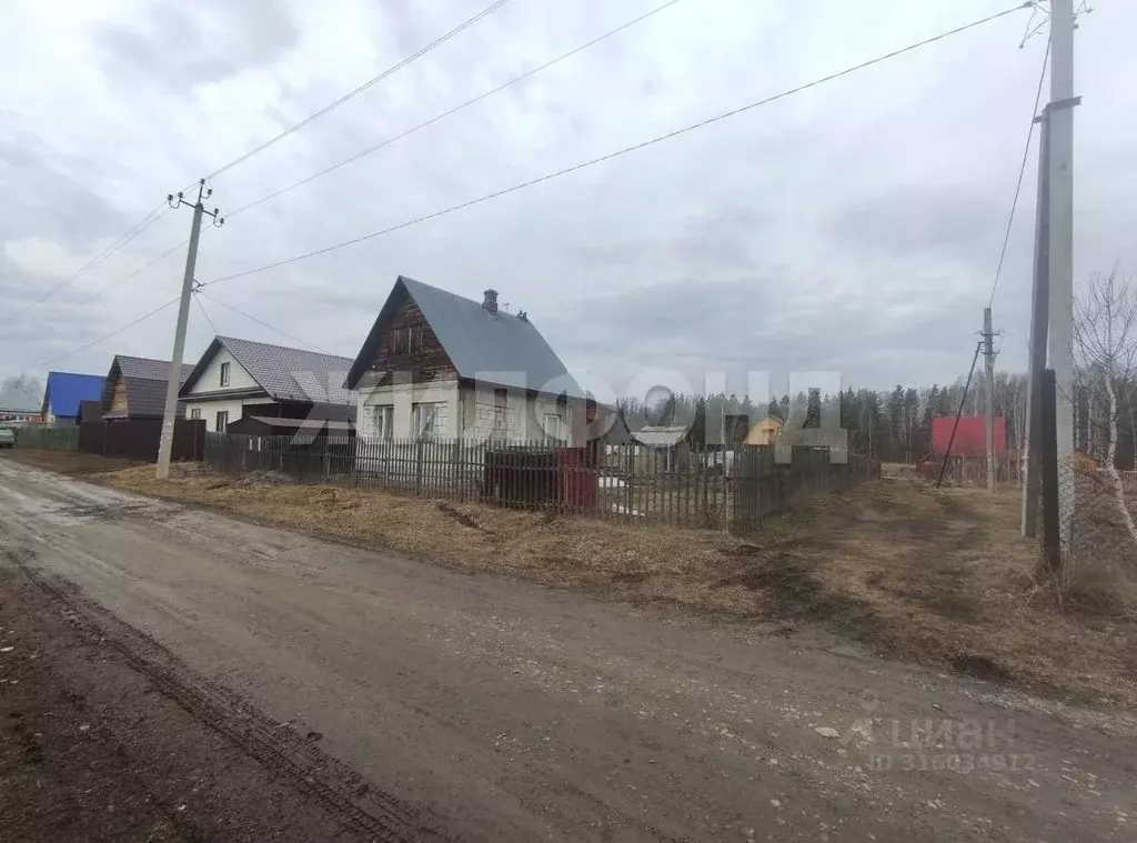 Дом в Новосибирская область, Тогучинский район, Березка садовое ... - Фото 1