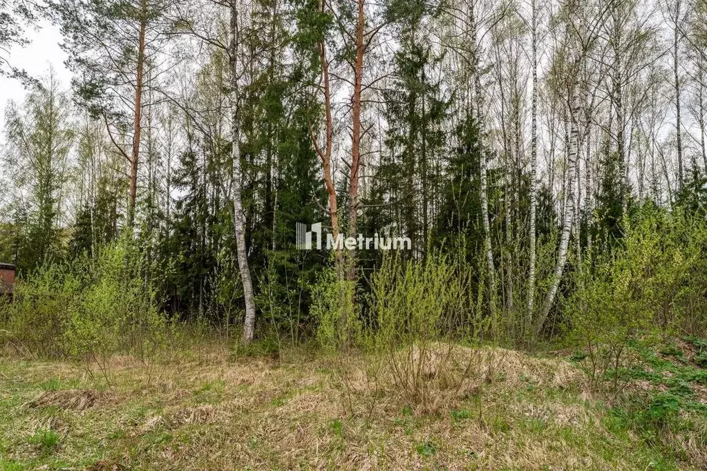 Участок в Тверская область, Конаково Пригородная ул. (40.0 сот.) - Фото 0