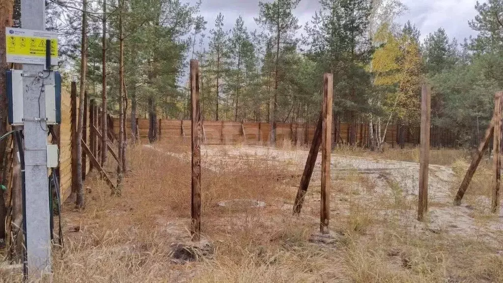 Участок в Воронежская область, Рамонский район, Новоживотинновское ... - Фото 2