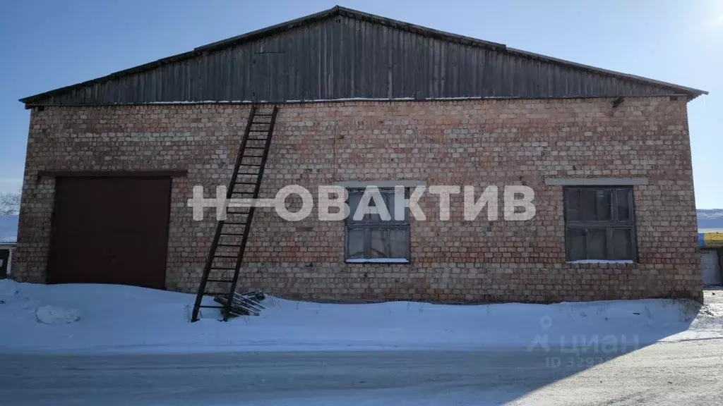 Помещение свободного назначения в Новосибирская область, Карасук ... - Фото 2