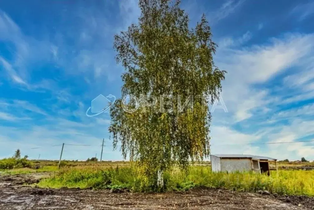 Участок в Тюменская область, Тюменский муниципальный округ, с. ... - Фото 1