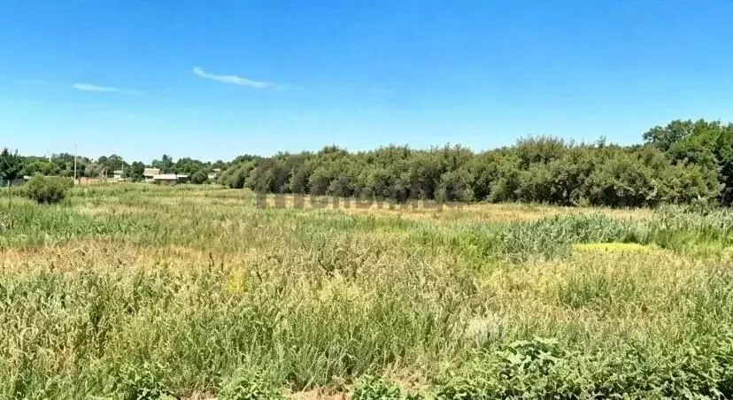 Участок в Волгоградская область, Среднеахтубинский район, ... - Фото 1
