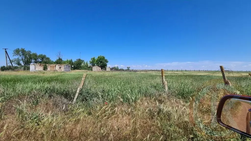 Участок в Крым, Сакский район, Воробьевское с/пос, с. Шишкино ул. ... - Фото 2