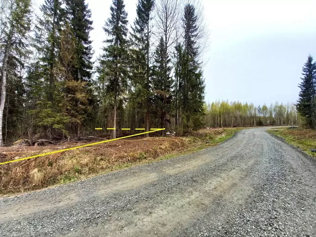 Участок в Карелия, Прионежский район, пос. Новая Вилга ул. Западная ... - Фото 0