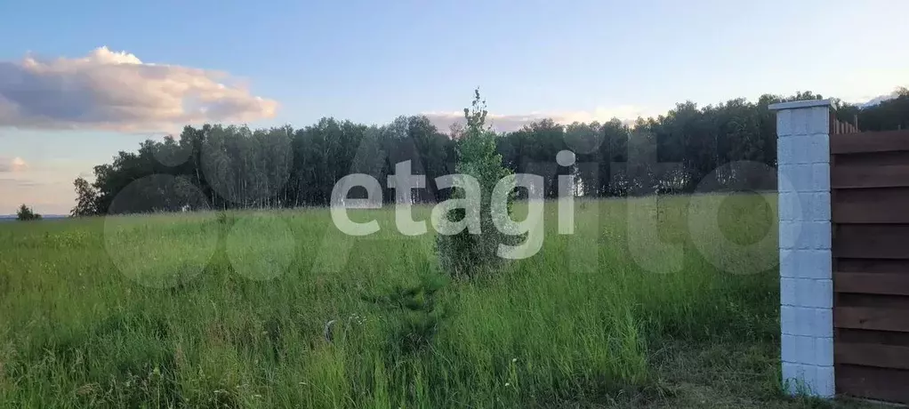 Участок 10 сот. (личное подсобное хозяйство (лпх)) - Фото 0