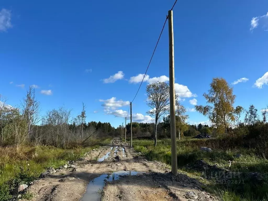 Участок в Ленинградская область, Приозерский район, Ларионовское ... - Фото 2