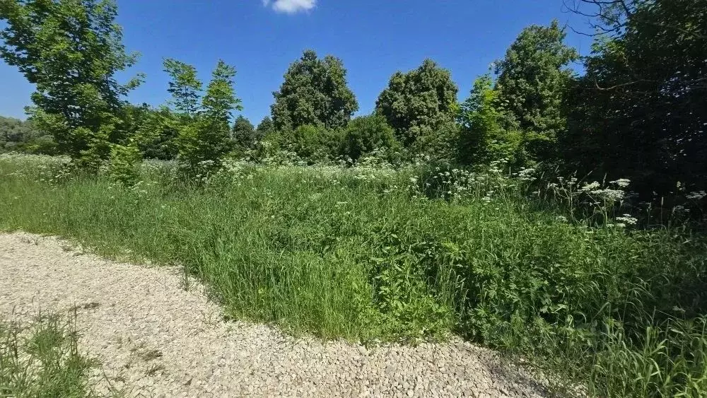 Участок в Московская область, Ступино городской округ, д. ... - Фото 1