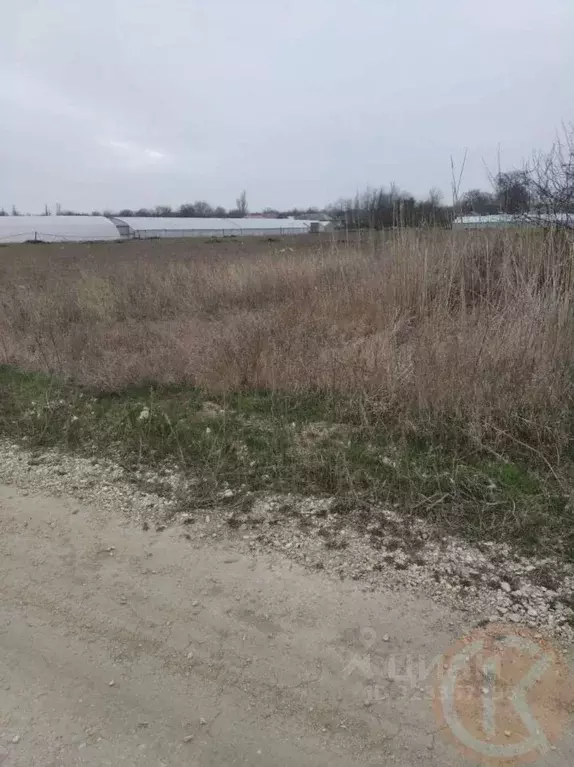 Участок в Крым, Джанкойский район, Завет-Ленинское с/пос, с. ... - Фото 1