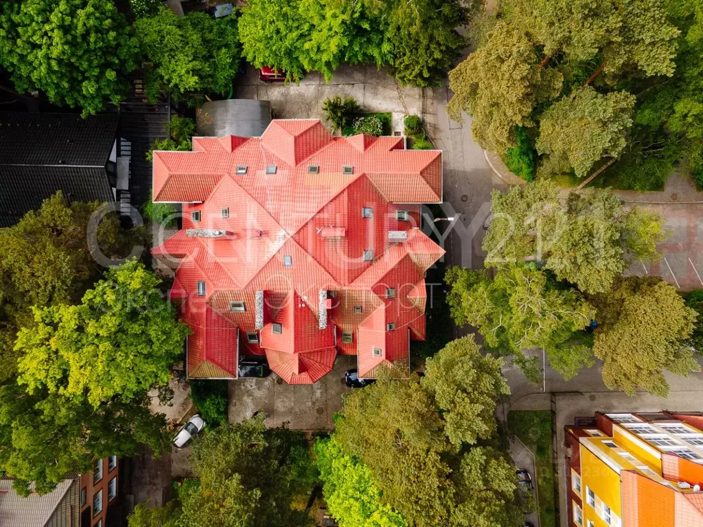 3-к кв. Калининградская область, Светлогорск ул. 8 Марта, 5 (96.0 м) - Фото 2