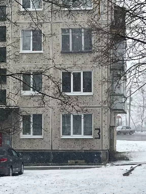 1-к кв. Ленинградская область, Волосовский район, д. Большая Вруда 3 ... - Фото 1