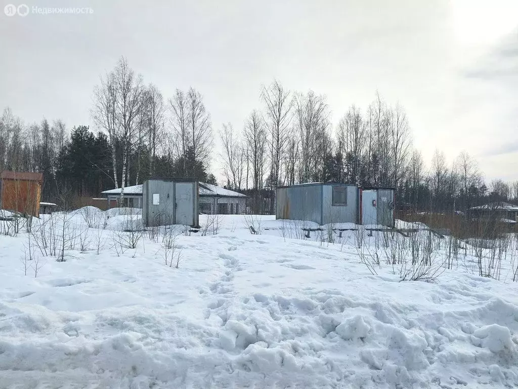 Участок в Лесколовское сельское поселение, коттеджный посёлок ... - Фото 2