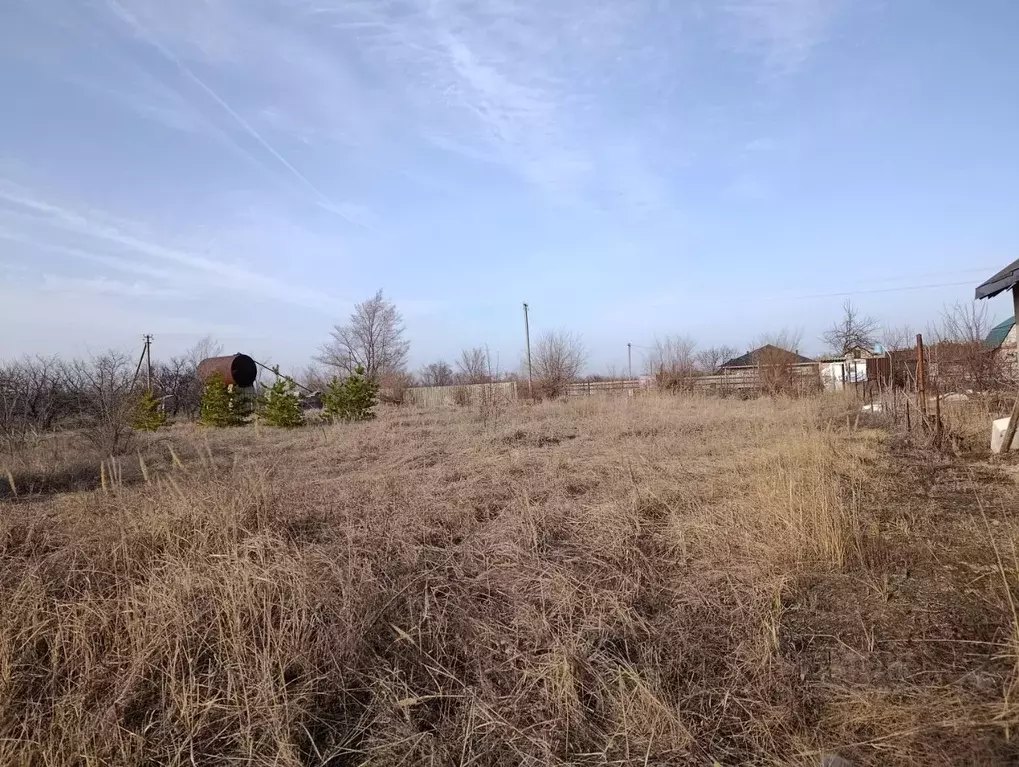 Участок в Саратовская область, Энгельсский район, Терновское ... - Фото 2