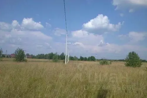 Участок в Новгородская область, Новгородский район, Савинское с/пос, ... - Фото 1