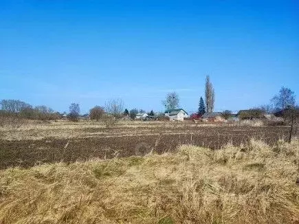 Участок в Калининградская область, Зеленоградский муниципальный округ, ... - Фото 2