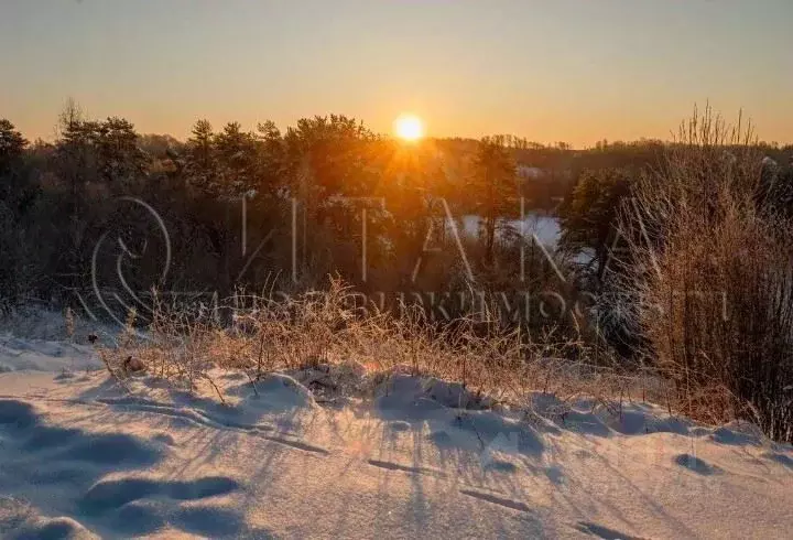 Участок в Ленинградская область, Волховский район, Кисельнинское ... - Фото 1