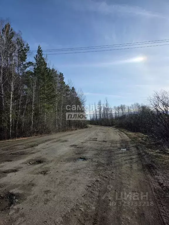 Участок в Свердловская область, Слободо-Туринский район, ... - Фото 1