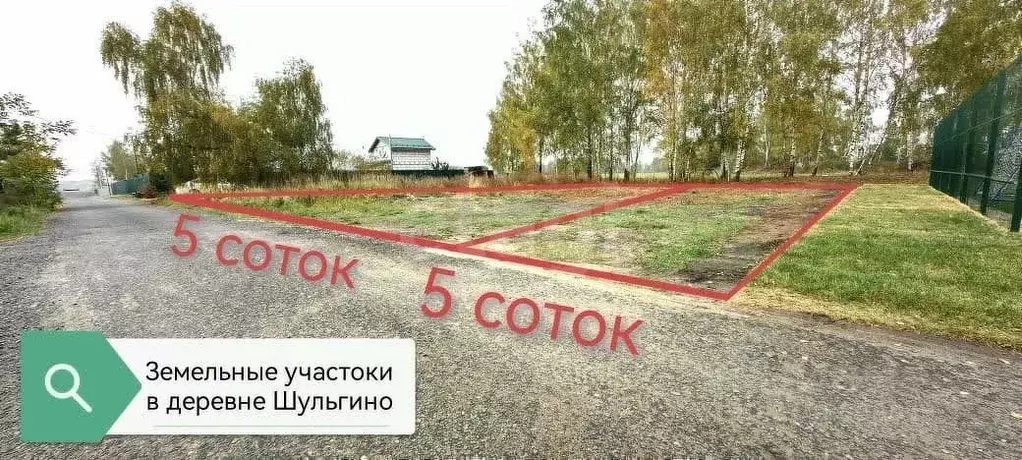 Участок в Московская область, Богородский городской округ, д. Шульгино ... - Фото 0