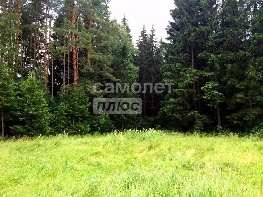 Участок в Воронежская область, Рамонский район, с. Новоживотинное  ... - Фото 2