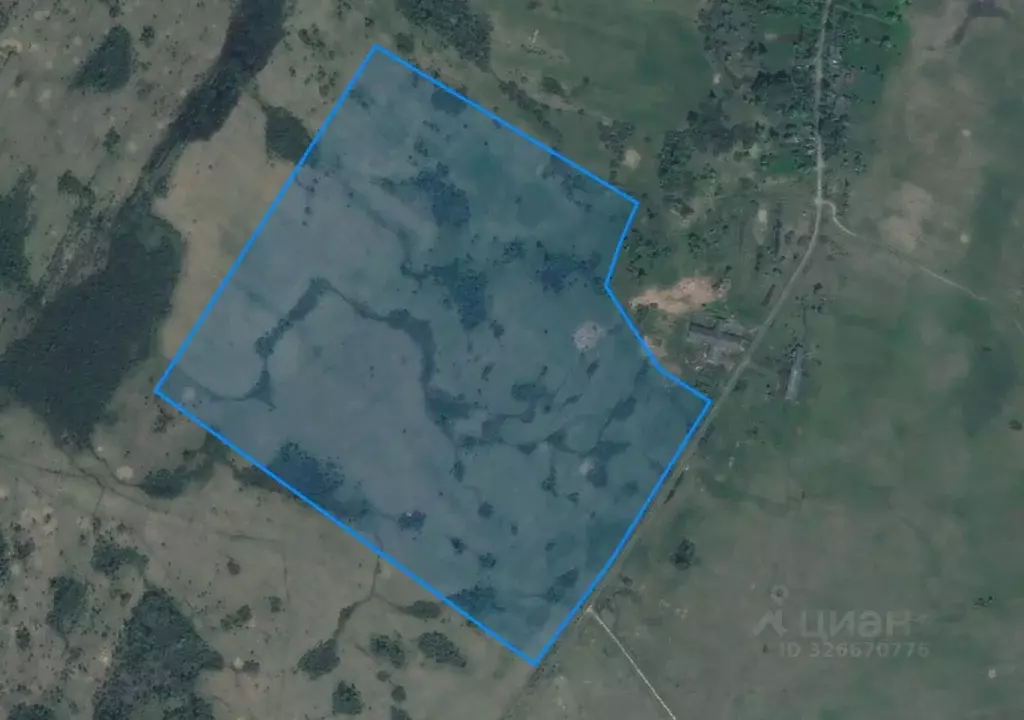 Участок в Псковская область, Палкинский район, Новоуситовская волость, ... - Фото 1