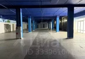 Помещение свободного назначения в Орловская область, Орел ... - Фото 2