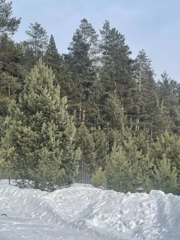 Участок в Пермский край, 3250001-1 кв-л ул. Сосновая, 10 (10.0 сот.) - Фото 0
