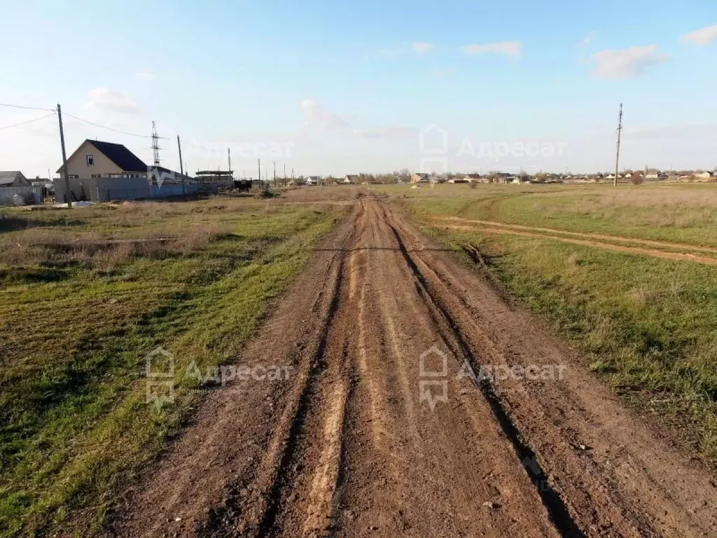 Участок в Волгоградская область, Светлоярский район, Червленовское ... - Фото 1