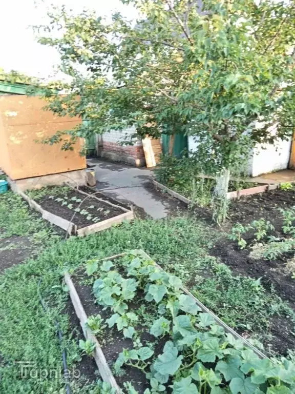 Дом в Оренбургская область, Орск Новый город мкр, ул. Ашхабадская, 40 ... - Фото 2