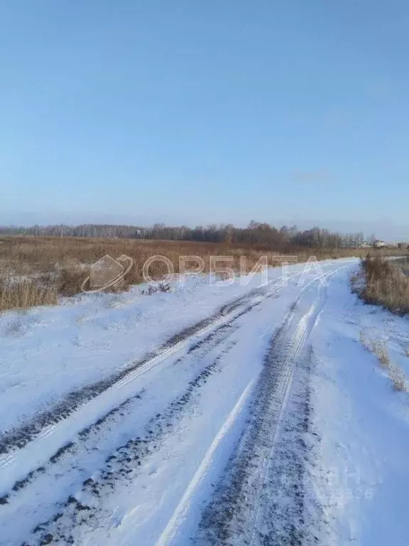 Участок в Тюменская область, Тюмень Ирбитский Тракт 3-й км от ... - Фото 0
