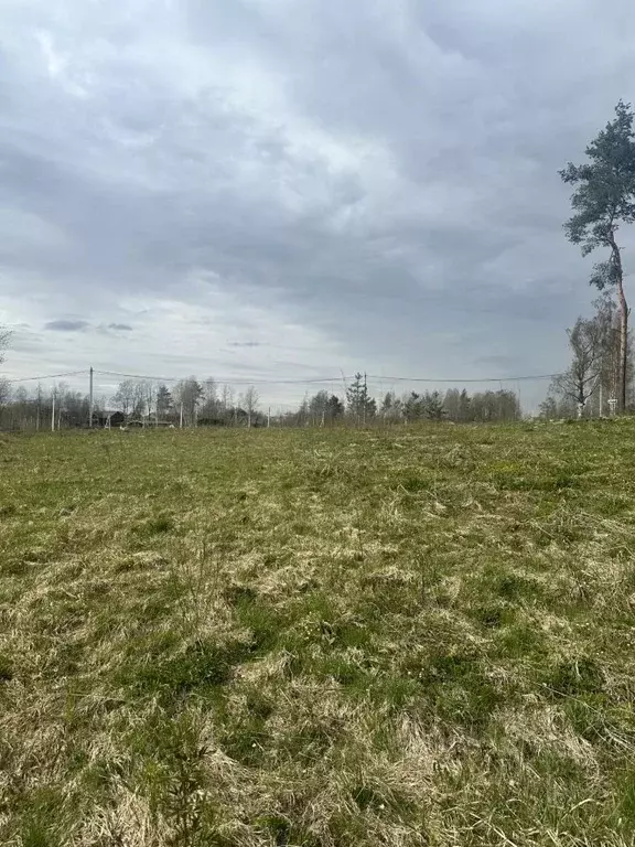 Участок в Ленинградская область, Всеволожский район, Колтушское ... - Фото 0