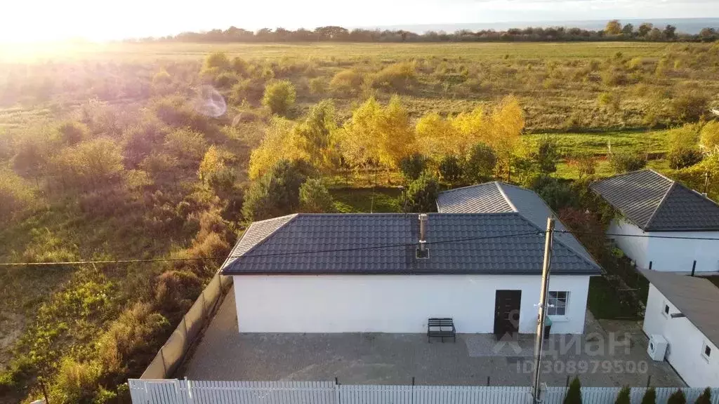 Дом в Калининградская область, Янтарный городской округ, пос. Синявино ... - Фото 2