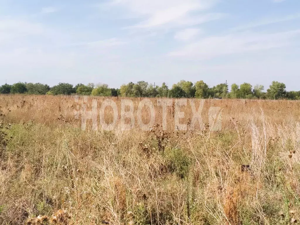 Участок в Краснодарский край, Северский район, Ильское городское ... - Фото 1