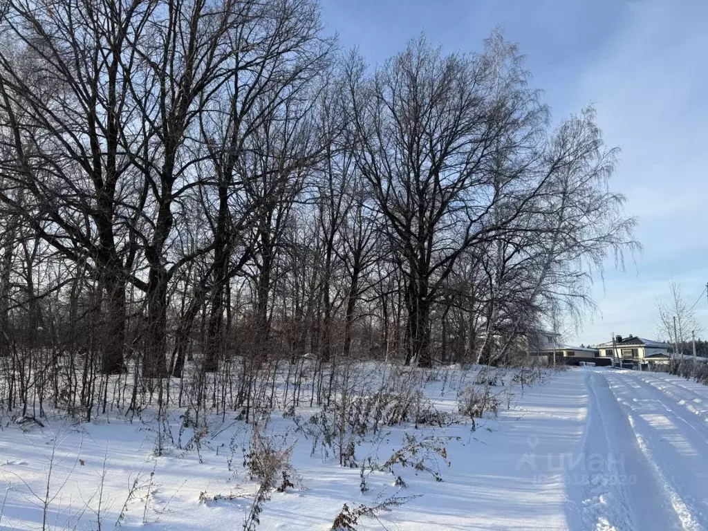 Участок в Башкортостан, Чишминский район, Аровский сельсовет, д. Дема ... - Фото 1