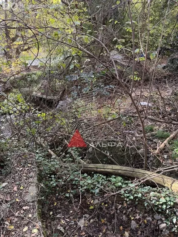 Участок в Симеиз, Голубая улица (6 м) - Фото 2