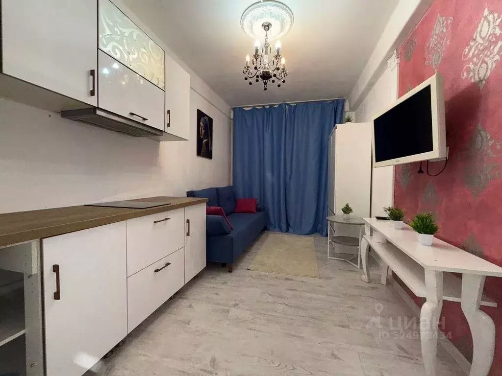 Студия Санкт-Петербург Витебский просп., 41К3 (14.0 м) - Фото 2